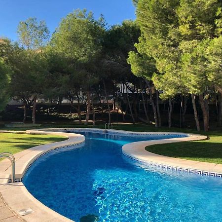 شقة Perla Apartamento أوريويلا المظهر الخارجي الصورة